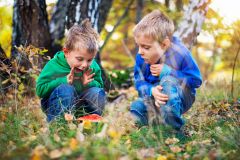 Urlaub mit Kindern im Schwarzwald Es gibt für die ganze Familie viel zu entdecken während eines Urlaubs im Schwarzwald.