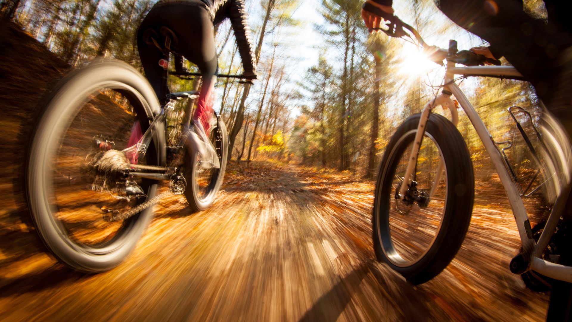 Todtmoos Mountain Biking